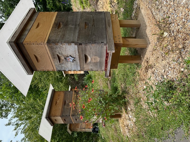 Overview of the hive yard