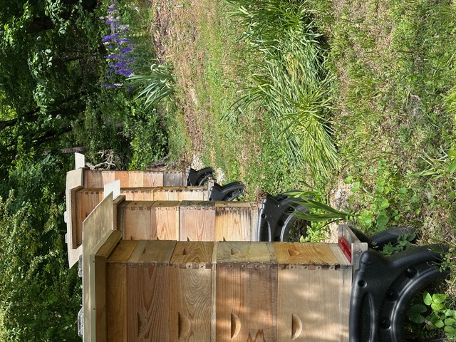 Row of wooden beehives at Northwoods Apiary